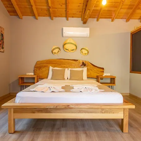 Вилла Pineyard Villas *