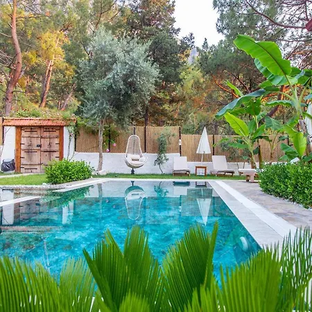 Villa Pineyard Villas Fethiye