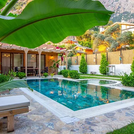 Pineyard Villas *